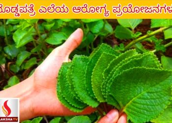 ಸೌತ್ ಈಸ್ಟ್ ಸೆಂಟ್ರಲ್ ರೈಲ್ವೆ ನೇಮಕಾತಿ – 2025