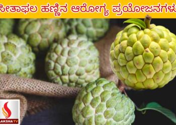 ಬ್ಯಾಂಕ್ ಆಫ್ ಬರೋಡಾ ನೇಮಕಾತಿ 2025
