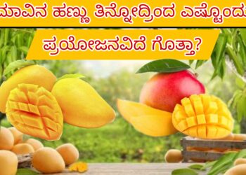 ಇಂಡಸ್ಟ್ರಿಯಲ್ ಡೆವಲಪ್‌ಮೆಂಟ್ ಬ್ಯಾಂಕ್ ಆಫ್ ಇಂಡಿಯಾ ನೇಮಕಾತಿ 2025