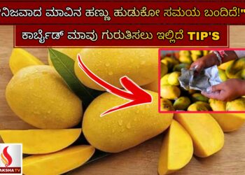 ಭಾರತ-ಪಾಕಿಸ್ತಾನ ಯುದ್ಧಕ್ಕೆ ಬ್ರೇಕ್: ಅಮೆರಿಕದ ಮಧ್ಯಸ್ಥಿಕೆಯಿಂದ ಯುದ್ಧ ವಿರಾಮ