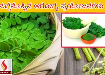 ನೈಋತ್ಯ ರೈಲ್ವೆ ಇಲಾಖೆ ನೇಮಕಾತಿ 2025