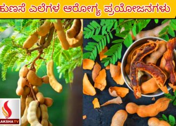 ಮೈಸೂರು ಜಿಲ್ಲಾ ಆರೋಗ್ಯ ಮತ್ತು ಕುಟುಂಬ ಕಲ್ಯಾಣ ಇಲಾಖೆ ನೇಮಕಾತಿ 2025