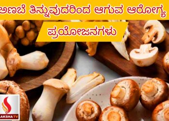 100 ಕೋಟಿ ರೂ. ಕಾವೇರಿ ಆರತಿ ಯೋಜನೆ: HDK ಕೆಂಡಾಮಂಡಲ, ಸರ್ಕಾರದ ವಿರುದ್ಧ ವಾಗ್ದಾಳಿ!