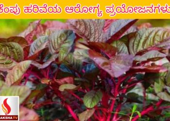 ಸ್ಟಾಫ್ ಸೆಲೆಕ್ಷನ್ ಕಮಿಷನ್ (SSC) ನೇಮಕಾತಿ ‌2025