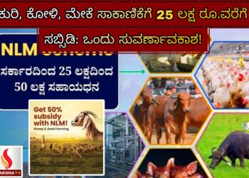 ಕುರಿ, ಕೋಳಿ, ಮೇಕೆ ಸಾಕಾಣಿಕೆಗೆ 25 ಲಕ್ಷ ರೂ.ವರೆಗೆ ಸಬ್ಸಿಡಿ: ಒಂದು ಸುವರ್ಣಾವಕಾಶ!