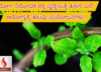 ಇನ್ಸ್ಟಿಟ್ಯೂಟ್ ಆಫ್ ಬ್ಯಾಂಕಿಂಗ್ ಪರ್ಸನಲ್ ಸೆಲೆಕ್ಷನ್ (IBPS) ಸಂಸ್ಥೆ ನೇಮಕಾತಿ-2025