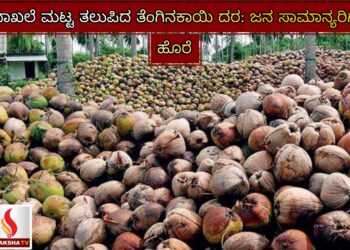 ದಾಖಲೆ ಮಟ್ಟ ತಲುಪಿದ ತೆಂಗಿನಕಾಯಿ ದರ: ಜನ ಸಾಮಾನ್ಯರಿಗೆ ಹೊರೆ