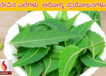 ಸ್ಥಳೀಯ ಬ್ಯಾಂಕ್ ಅಧಿಕಾರಿ ಹುದ್ದೆಗಳು: ಬ್ಯಾಂಕ್ ಆಫ್ ಬರೋಡಾದಲ್ಲಿ ಭವಿಷ್ಯ ರೂಪಿಸಿಕೊಳ್ಳಿ
