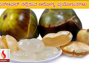 ಗೋವಾ ಶಿಪ್‌ಯಾರ್ಡ್ ಲಿಮಿಟೆಡ್ ನೇಮಕಾತಿ 2025