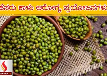 SBI SCO ನೇಮಕಾತಿ 2025 – ಸ್ಪೆಷಲಿಸ್ಟ್ ಆಫೀಸರ್ ಹುದ್ದೆಗಳಿಗೆ ಅರ್ಜಿ ಅಹ್ವಾನ