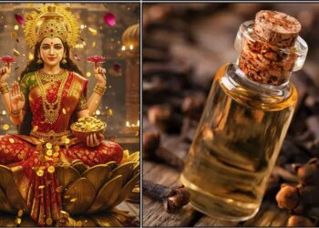 ಮನೆಯಲ್ಲಿ ಲವಂಗ ಮತ್ತು ಲವಂಗ ಎಣ್ಣೆ ಇದ್ದರೆ, ಎಷ್ಟೇ ಸಾಲ ಮಾಡಿದರೂ ಬೇಗ ಸಾಲದಿಂದ ಮುಕ್ತಿ ಪಡೆಯಬಹುದು.