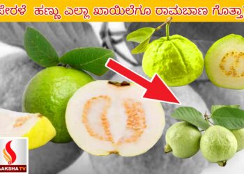 “ಪಶ್ಚಿಮ ವೆಂಕಟಾಚಲಪತಿ ಕ್ಷೇತ್ರ” ಖ್ಯಾತಿಯ ಮಾಗಡಿ ರಂಗನಾಥ ಸ್ವಾಮಿ ದೇವಸ್ಥಾನದ ಇತಿಹಾಸ ಮತ್ತು ಮಹಿಮೆಯ ಅನಾವರಣ