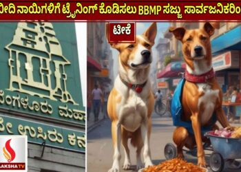 ಬೀದಿ ನಾಯಿಗಳಿಗೆ ಟ್ರೈನಿಂಗ್ ಕೊಡಿಸಲು BBMP ಸಜ್ಜು – ಸಾರ್ವಜನಿಕರಿಂದ ಟೀಕೆ