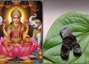 how to get blessings of goddess Lakshmi here is the-ritual tips