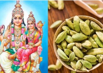 Use Elakki (Elaichi) to relief from Shukra Dosha