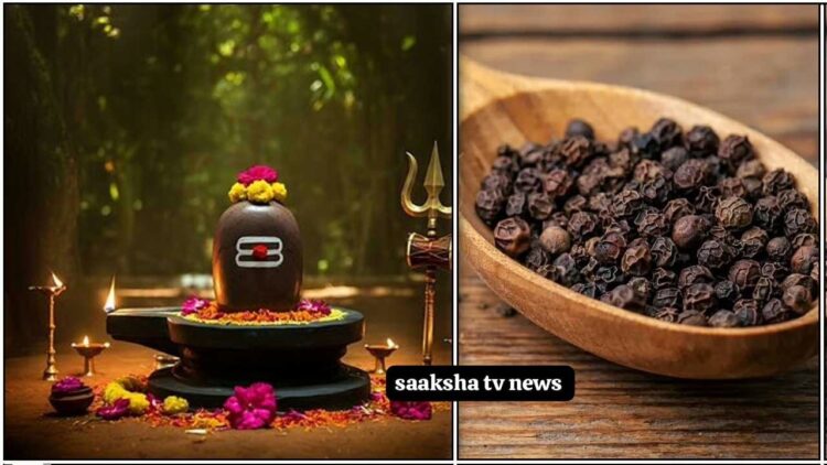 Shani Maha Pradosha: Chant this Mantra for Loan Clearance