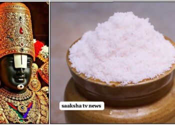 Vriddhi Ekadashi: Powerful Rituals to Overcome Financial Problems