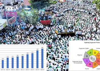Sugarcane farmers demand 3,500 Rs per ton: Is it fair? What it means for sugar factories in India