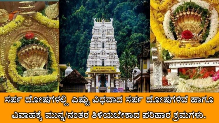 When Should a Snake Be Cremated?