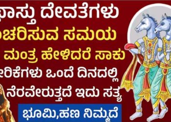 ಯಾವುದೇ ಕಾಯಿಲೆಯಿಂದ ಗುಣಪಡಿಸಬಲ್ಲ ಅಶ್ವಿನಿ ದೇವತೆಗಳ ಪವರ್‌ ನಿಮಗೆ ಗೊತ್ತಾ?