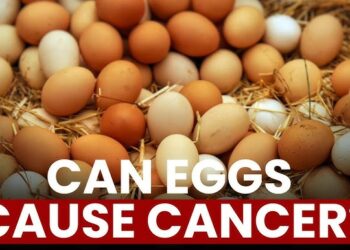 ಮೊಟ್ಟೆಗಳಲ್ಲಿ ಕ್ಯಾನ್ಸರ್ ಕಾರಕ ವದಂತಿ: ರಾಜ್ಯ ಸರ್ಕಾರ ಅಲರ್ಟ್