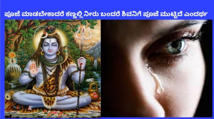 Curses that haunt man.. What are the solutions to these curses..?