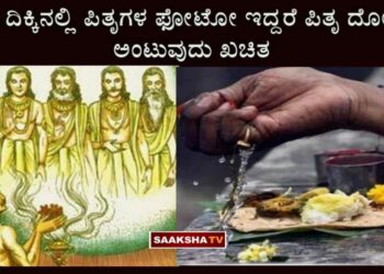 If there are photos of ancestors in this direction, remove them immediately, otherwise you will definitely get Pitru Dosha.