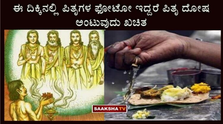 If there are photos of ancestors in this direction, remove them immediately, otherwise you will definitely get Pitru Dosha.