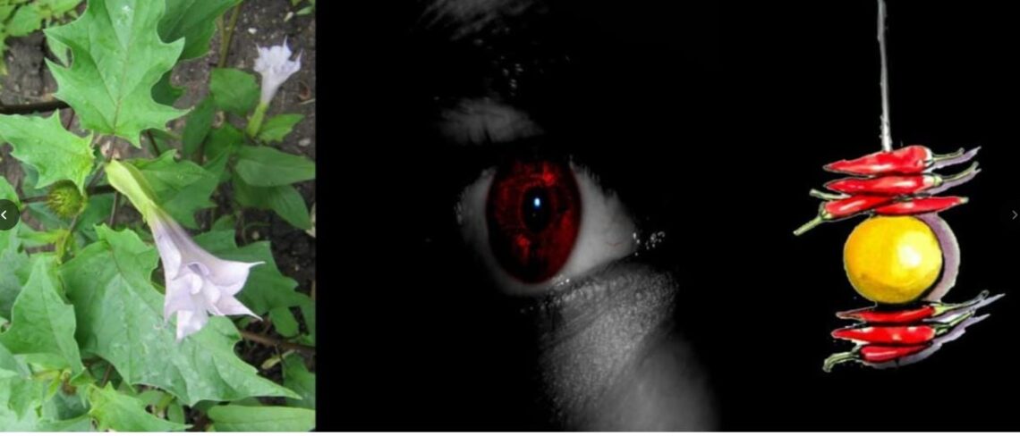 If you want to improve your business, get rid of bad luck and money problems, try this simple remedy using the roots of this plant.