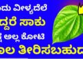 Just one betel leaf is enough. See how you can pay off even if you have a debt of lakhs, if not crores!