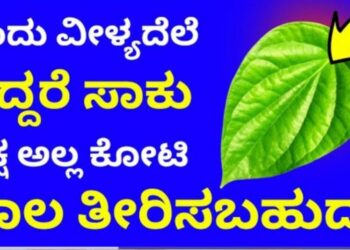 Just one betel leaf is enough. See how you can pay off even if you have a debt of lakhs, if not crores!