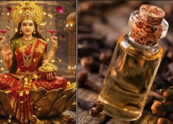 If you have cloves and clove oil at home, you can quickly get rid of debt, no matter how much you borrow.