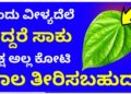 ಒಂದು ವೀಳ್ಯದೆಲೆ ಇದ್ದರೆ ಸಾಕು. ಲಕ್ಷ ಅಲ್ಲ ಕೋಟಿ ಸಾಲ ಇದ್ದರೂ ಕೂಡ ತೀರಿಸಬಹುದು ಹೇಗೆ ಅಂತ ನೋಡಿ.!