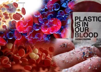 150 ಕೋಟಿ ಭಾರತೀಯರ ರಕ್ತದಲ್ಲೂ ಪ್ಲಾಸ್ಟಿಕ್ ಅಂಶ ಪತ್ತೆ ನಿಮ್ಮ ಜೀವ ಉಳಿಸಿಕೊಳ್ಳಲು ಈ 10 ಸೂತ್ರಗಳನ್ನು ಇಂದೇ ಪಾಲಿಸಿ