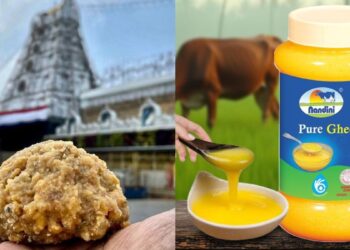 ಟಿಟಿಡಿಗೆ ಪ್ರತಿದಿನ 11 ಟನ್ ತುಪ್ಪ ಪೂರೈಕೆ – ಡಿಕೆ ಸುರೇಶ್ ಮಾಹಿತಿ