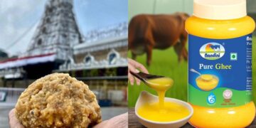 ಟಿಟಿಡಿಗೆ ಪ್ರತಿದಿನ 11 ಟನ್ ತುಪ್ಪ ಪೂರೈಕೆ – ಡಿಕೆ ಸುರೇಶ್ ಮಾಹಿತಿ