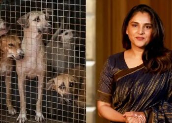 ಮೂಕ ಜೀವಿಗಳ ಸಂಕಷ್ಟಕ್ಕೆ ಸ್ಯಾಂಡಲ್ವುಡ್ ಕ್ವೀನ್ ರಮ್ಯಾ ಕಣ್ಣೀರು : ನಾಯಿಗಳ ಮೇಲೆ ಅಮಾನವೀಯ ದೌರ್ಜನ್ಯ ಫ್ರೀಡಂ ಪಾರ್ಕ್ ನಲ್ಲಿ ಪ್ರಾಣಿ ಪ್ರೇಮಿಗಳ ಬೃಹತ್ ಆಕ್ರೋಶ