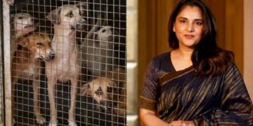 ಮೂಕ ಜೀವಿಗಳ ಸಂಕಷ್ಟಕ್ಕೆ ಸ್ಯಾಂಡಲ್‌ವುಡ್ ಕ್ವೀನ್ ರಮ್ಯಾ ಕಣ್ಣೀರು : ನಾಯಿಗಳ ಮೇಲೆ ಅಮಾನವೀಯ ದೌರ್ಜನ್ಯ ಫ್ರೀಡಂ ಪಾರ್ಕ್ ನಲ್ಲಿ ಪ್ರಾಣಿ ಪ್ರೇಮಿಗಳ ಬೃಹತ್ ಆಕ್ರೋಶ