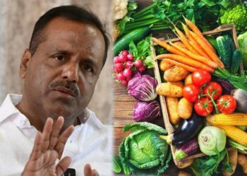 ಆನ್‌ಲೈನ್ ತರಕಾರಿಗಳಿಗೆ ಕೆಮಿಕಲ್ ಸ್ಪ್ರೇ?; ದೂರುಗಳ ಬಗ್ಗೆ ತನಿಖೆ: ಸಚಿವ ಖಾದರ್