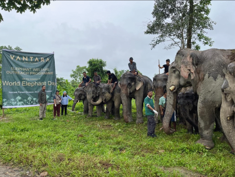world-elephant-day-vantara-conservation-initiative