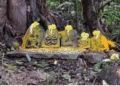 nagara-panchami-2026-history-significance-kannada