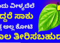 Astro – ಒಂದು ವೀಳ್ಯದೆಲೆ ಇದ್ದರೆ ಸಾಕು. ಲಕ್ಷ ಅಲ್ಲ ಕೋಟಿ ಸಾಲ ಇದ್ದರೂ ಕೂಡ ತೀರಿಸಬಹುದು ಹೇಗೆ ಅಂತ ನೋಡಿ.!