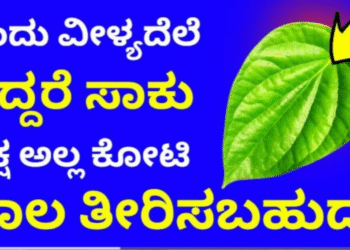 Astro – ಒಂದು ವೀಳ್ಯದೆಲೆ ಇದ್ದರೆ ಸಾಕು. ಲಕ್ಷ ಅಲ್ಲ ಕೋಟಿ ಸಾಲ ಇದ್ದರೂ ಕೂಡ ತೀರಿಸಬಹುದು ಹೇಗೆ ಅಂತ ನೋಡಿ.!