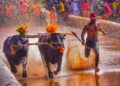 ಪ್ರಧಾನಿಯ ತಂಬೂರಿ ಸದ್ದಿಗೆ ಕಾಂಗ್ರೆಸ್ ಕಿಡಿ: ಸನಾತನ ಸಂಸ್ಕೃತಿಯ ವಿರೋಧಿ ಕಾಂಗ್ರೆಸ್ ಎಂದ ಕೇಸರಿ ಪಡೆ