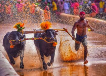 ಪ್ರಧಾನಿಯ ತಂಬೂರಿ ಸದ್ದಿಗೆ ಕಾಂಗ್ರೆಸ್ ಕಿಡಿ: ಸನಾತನ ಸಂಸ್ಕೃತಿಯ ವಿರೋಧಿ ಕಾಂಗ್ರೆಸ್ ಎಂದ ಕೇಸರಿ ಪಡೆ
