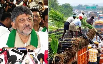 ಕಬ್ಬು ಬೆಲೆ ಸಭೆ ವಿಫಲ: 2 ದಿನಗಳಲ್ಲಿ ನಿರ್ಧಾರ ಕೈಗೊಳ್ಳದಿದ್ದರೆ ಕರ್ನಾಟಕ ಬಂದ್‌ ಎಚ್ಚರಿಕೆ ನೀಡಿದ ರೈತ ಸಂಘಟನೆಗಳು