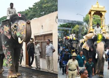ಅಂಬಾರಿ ತೂಕ ತಡೆಯಲಾಗದೆ ತಾಲೀಮು ಅರ್ಧಕ್ಕೆ ಮೊಟಕು: ಮಹೇಂದ್ರನಿಗೆ ಮತ್ತೆ ವಿಘ್ನ